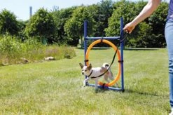 Fun Agility Ring, Plastic -Vetdiet Shop PHO PRO DOG 3208 4