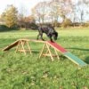 Fun Agility Dogwalk