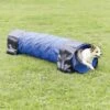 Fun Agility Mini Tunnel -Vetdiet Shop PHO PRO DOG 3210 5