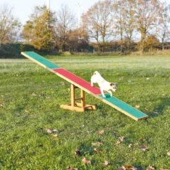 Fun Agility Seesaw