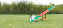 Fun Agility Seesaw -Vetdiet Shop PHO PRO DOG 3213 4