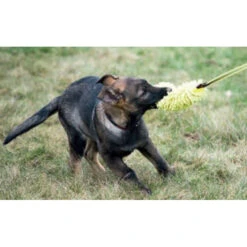 KLIN Puppy Toy, Microfiber With Bungee -Vetdiet Shop PuppyToy microfiber2 435858ff e6a5 499a bae3 4b947f3e4b87