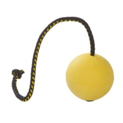 Dingo Gear Rubber Ball -Vetdiet Shop RubberBallNoHandle001