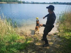 Dingo Gear Rubber Ball -Vetdiet Shop RubberBallnoHandle004