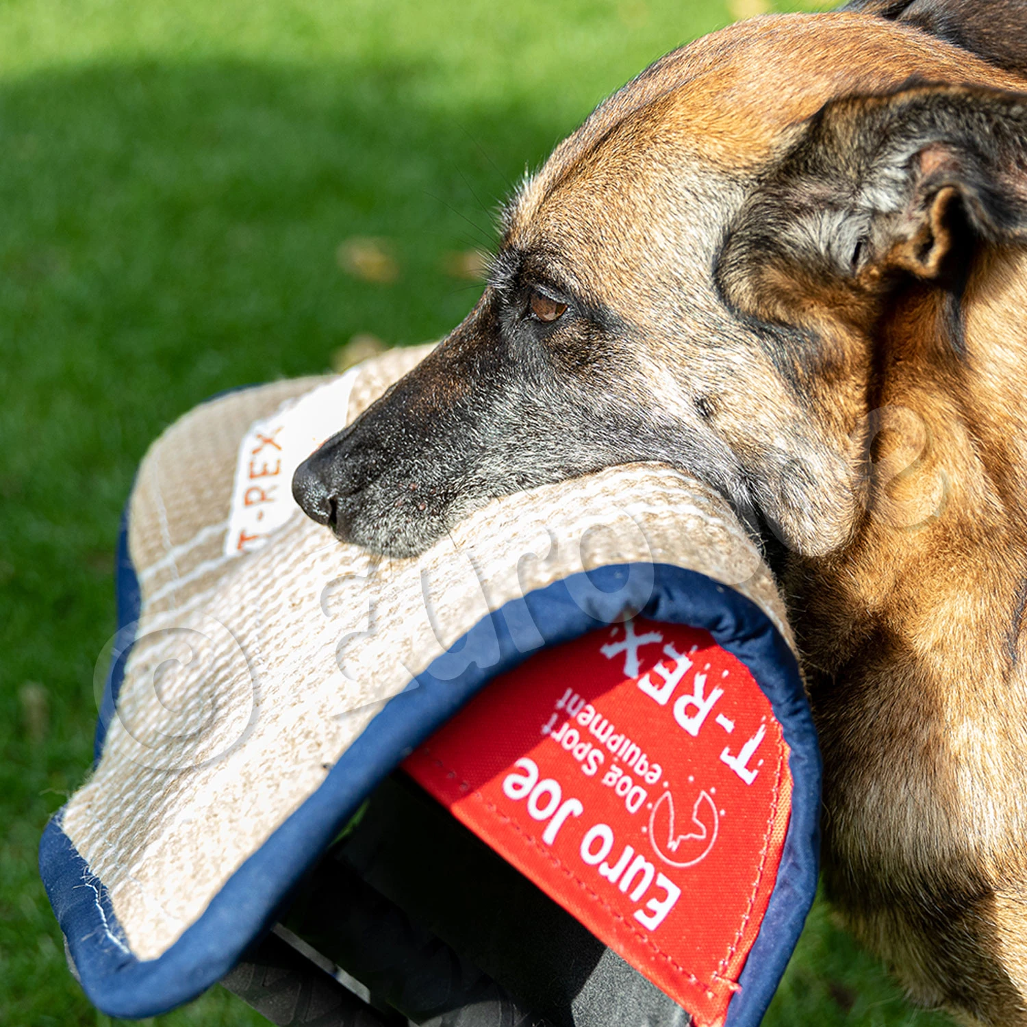 Soft Bitecushion "T-Rex" 7 Soft Bitecushion "T-Rex" - Image 5