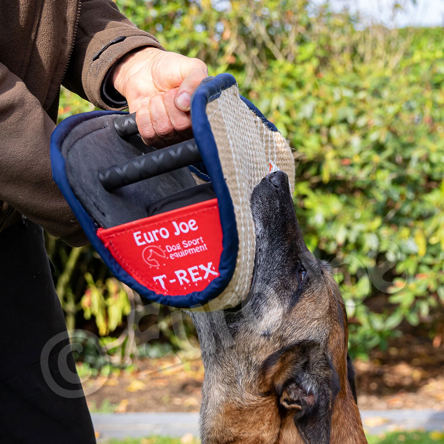 Soft Bitecushion "T-Rex" 8 Soft Bitecushion "T-Rex" - Image 6