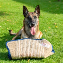 Soft Bitecushion "T-Rex" 17 Soft Bitecushion "T-Rex" -Vetdiet Shop T Rex 8