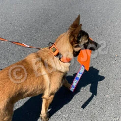 Tug French Linen Soft -Vetdiet Shop Uzi oranje