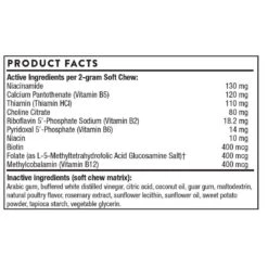 Thorne Research Basic B ComplexVET -Vetdiet Shop VB104SC 1024x1024 2x 64cf1776 b05c 4b92 bc15 6116d56dd079