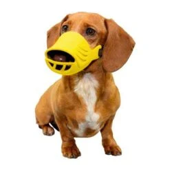 Artero Silicone Muzzles Set Of 4 -Vetdiet Shop amuzzle 2 1 1