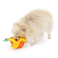 Hallabong Nose Work Dog Toy -Vetdiet Shop bacon hallabong nose work dog toy 309936