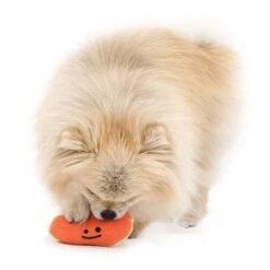 Hallabong Nose Work Dog Toy -Vetdiet Shop bacon hallabong nose work dog toy 327024