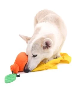 Hallabong Nose Work Dog Toy -Vetdiet Shop bacon hallabong nose work dog toy 379620