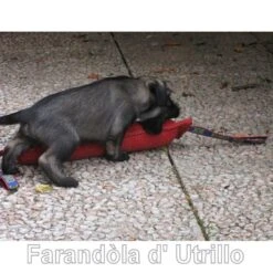 Tug French Linen Hard -Vetdiet Shop bijtworstschnauzer01