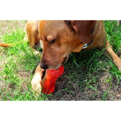 Bionic Bone Dog Toy 7 Bionic Bone Dog Toy -Vetdiet Shop bionic20bone
