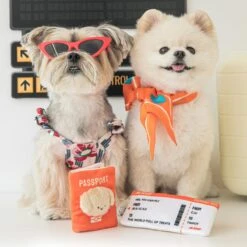 Bite Me X Jeju Air | Passport And Boarding Pass Nose Work Toy -Vetdiet Shop bite me bite me x jeju air passport and boarding pass nose work toy 671804
