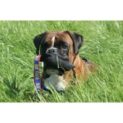 Tug French Linen Hard -Vetdiet Shop boxerworst