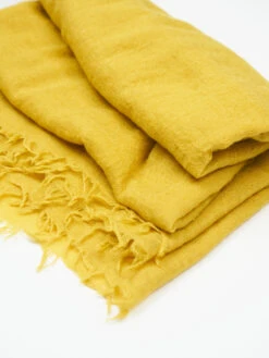 Emily Quadra Yellow -Vetdiet Shop destin emily quadra yellow 3