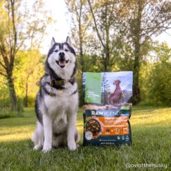 Only Natural Pet Raw Blends Chicken And Poultry Feast Raw Grain Free Dog Food -Vetdiet Shop f5d36707 1aa3 42ba 9def cac1e9eb9560