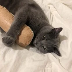 Tyvek® Catnip Bread Cushion -Vetdiet Shop gotta go home tyvek catnip bread cushion 281073