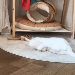 Tyvek® Catnip Bread Cushion -Vetdiet Shop gotta go home tyvek catnip bread cushion 447993