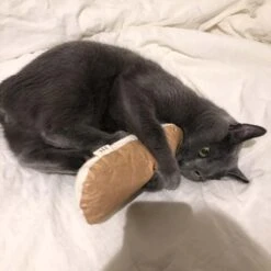 Tyvek® Catnip Bread Cushion -Vetdiet Shop gotta go home tyvek catnip bread cushion 619619