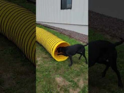 Agility Heavy Duty Dog Tunnel 24" X 20' -Vetdiet Shop hqdefault 13682.1652382131