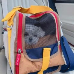 IBag Pet Carrier - Sassy Cream (2 Sizes) -Vetdiet Shop icandor ibag pet carrier sassy cream 2 sizes 113465