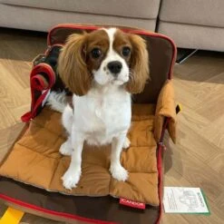 IBag Pet Carrier - Sassy Cream (2 Sizes) -Vetdiet Shop icandor ibag pet carrier sassy cream 2 sizes 284110