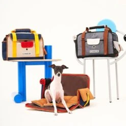 IBag Pet Carrier - Sassy Cream (2 Sizes) -Vetdiet Shop icandor ibag pet carrier sassy cream 2 sizes 323038