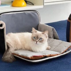 IBag Pet Carrier - Sassy Cream (2 Sizes) -Vetdiet Shop icandor ibag pet carrier sassy cream 2 sizes 379340