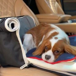 IBag Pet Carrier - Sassy Cream (2 Sizes) -Vetdiet Shop icandor ibag pet carrier sassy cream 2 sizes 504744