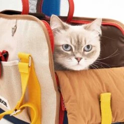 IBag Pet Carrier - Sassy Cream (2 Sizes) -Vetdiet Shop icandor ibag pet carrier sassy cream 2 sizes 521636