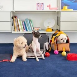 IBag Pet Carrier - Sassy Cream (2 Sizes) -Vetdiet Shop icandor ibag pet carrier sassy cream 2 sizes 888342