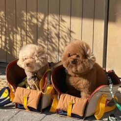 IBag Pet Carrier - Sassy Cream (2 Sizes) -Vetdiet Shop icandor ibag pet carrier sassy cream 2 sizes 918819