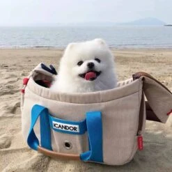 Peek-a-boo Pet Carrier - Melting Cream (2 Sizes) -Vetdiet Shop icandor peek a boo pet carrier melting cream 2 sizes 187102