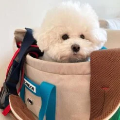 Peek-a-boo Pet Carrier - Melting Cream (2 Sizes) -Vetdiet Shop icandor peek a boo pet carrier melting cream 2 sizes 226628