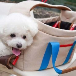 Peek-a-boo Pet Carrier - Melting Cream (2 Sizes) -Vetdiet Shop icandor peek a boo pet carrier melting cream 2 sizes 299016