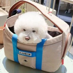 Peek-a-boo Pet Carrier - Melting Cream (2 Sizes) -Vetdiet Shop icandor peek a boo pet carrier melting cream 2 sizes 546434