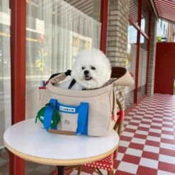 Peek-a-boo Pet Carrier - Melting Cream (2 Sizes) -Vetdiet Shop icandor peek a boo pet carrier melting cream 2 sizes 568663