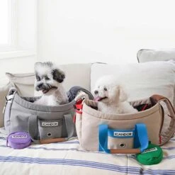 Peek-a-boo Pet Carrier - Melting Cream (2 Sizes) -Vetdiet Shop icandor peek a boo pet carrier melting cream 2 sizes 714599