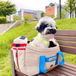 Peek-a-boo Pet Carrier - Melting Cream (2 Sizes) -Vetdiet Shop icandor peek a boo pet carrier melting cream 2 sizes 871067