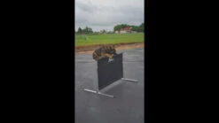 IPO/IGP/Schutzhund Aluminum Pendel Hurdle Jump 22 IPO/IGP/Schutzhund Aluminum Pendel Hurdle Jump -Vetdiet Shop maxresdefault 37237.1646860625