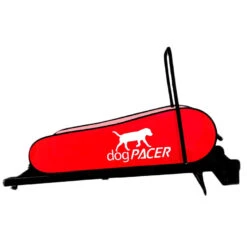 Dog Pacer Treadmill