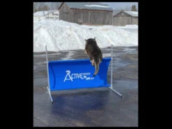 IGP/IPO/Schutzhund Aluminum Standard Hurdle Jump 16 IGP/IPO/Schutzhund Aluminum Standard Hurdle Jump -Vetdiet Shop sddefault 00413.1655118299