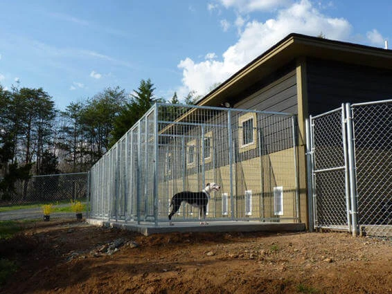 TK Products Pro-Series Backless Multi-Dog Kennels - Image 9