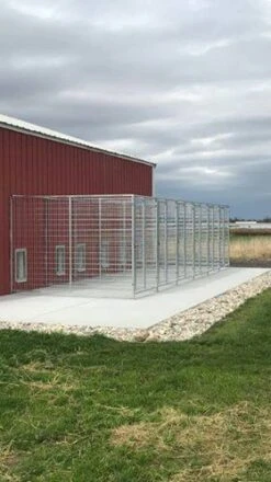 TK Products Pro-Series Backless Multi-Dog Kennels -Vetdiet Shop tk product multi kennel 3 sided backless installed 7