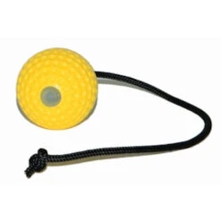 Yellow Super Ball With Handle